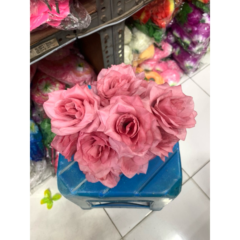 Raedy ROSE X5 (SSF 2100CH)