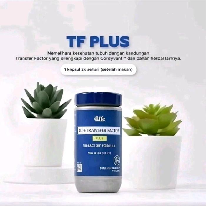 Ready TF PLUS 100% ORIGINAL 4LIFE TRANSFER FACTOR PLUS