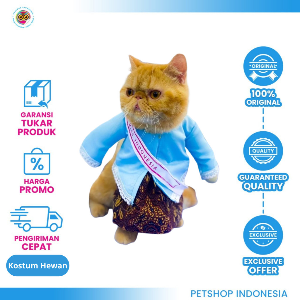 Kostum Mbok Jamu untuk Kucing - Baju Kucing pi