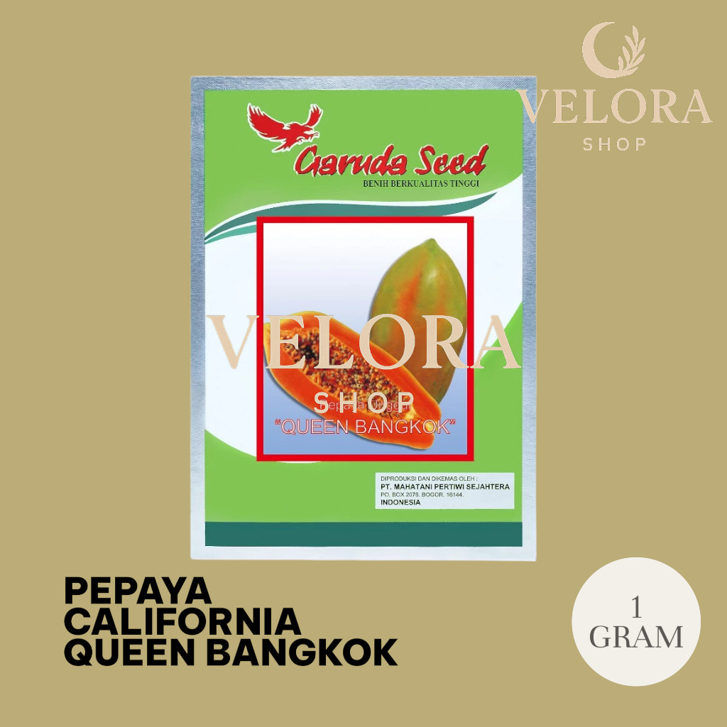 Benih Pepaya Bangkok Queen Bangkok 1 gr | bibit pepaya bangkok