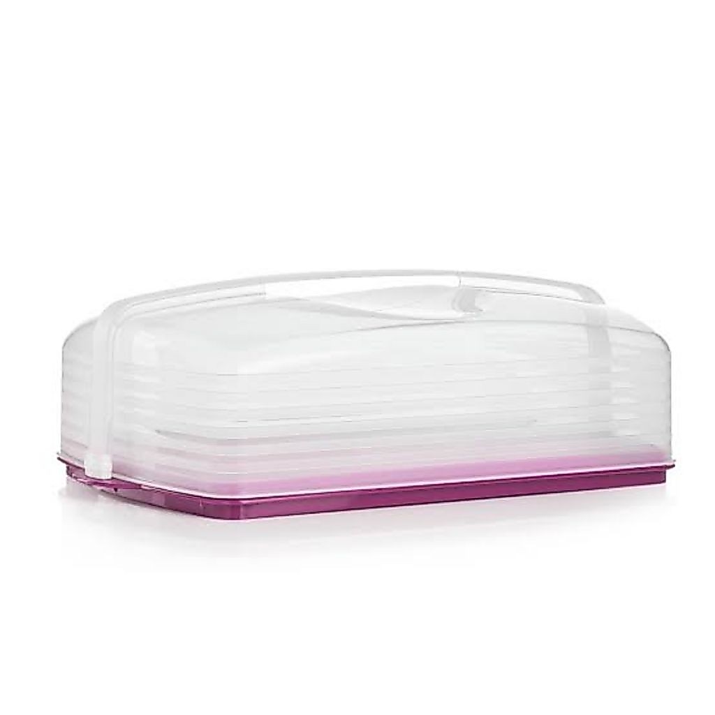 cake taker rectangular tupperware