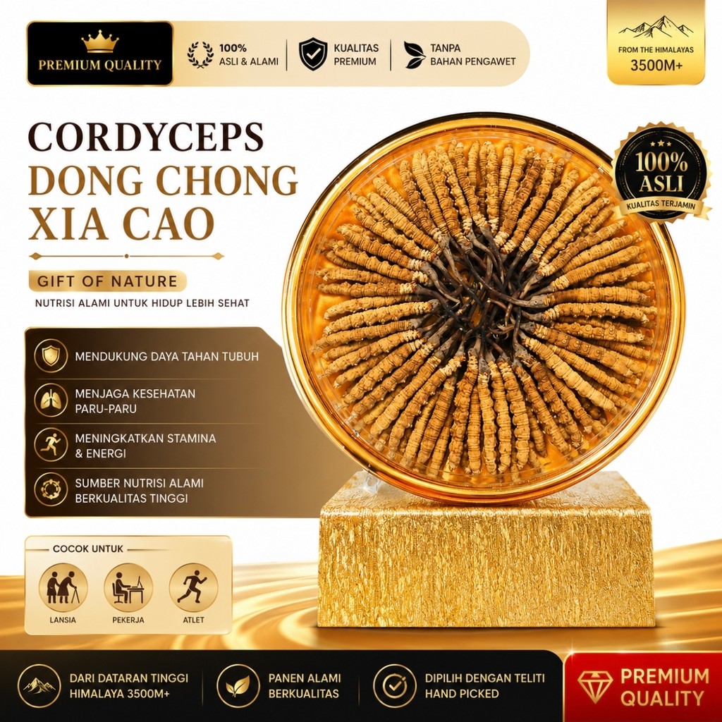cordyceps sinensis tibet premium original import