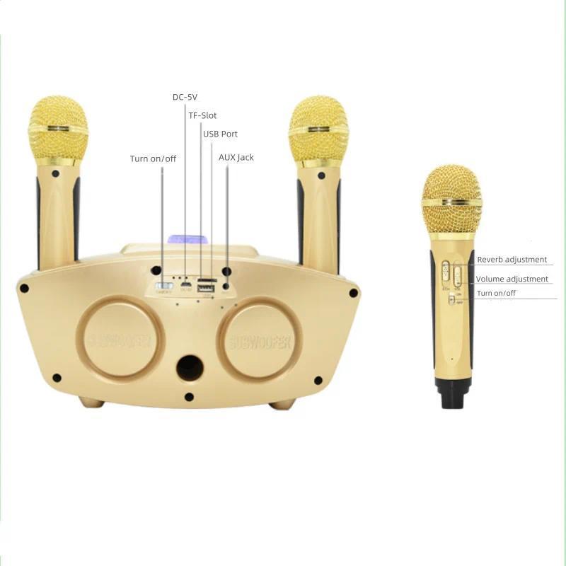 Eagle-Eye Designed SD-306 Portable and Outdoor Karaoke Bluetooth Speaker for Home Use with Two Wirel