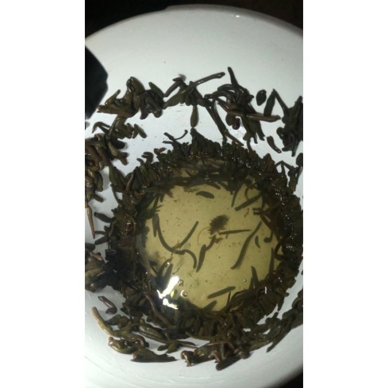 [meylisa] lintah terapi hidup alami dari rawa lintah steril uk campuran kecil sedang besar jumbo all