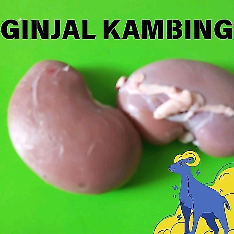 Ginjal kambing 500gram