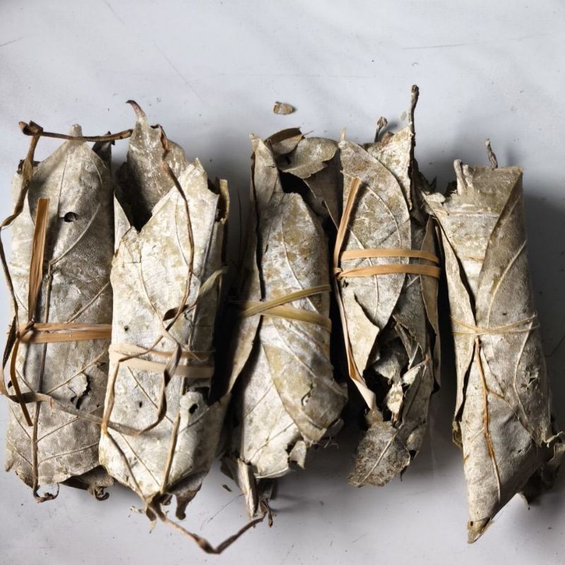 Daun Gambir Asli Getah Daun Gambir Organik Fresh Premium