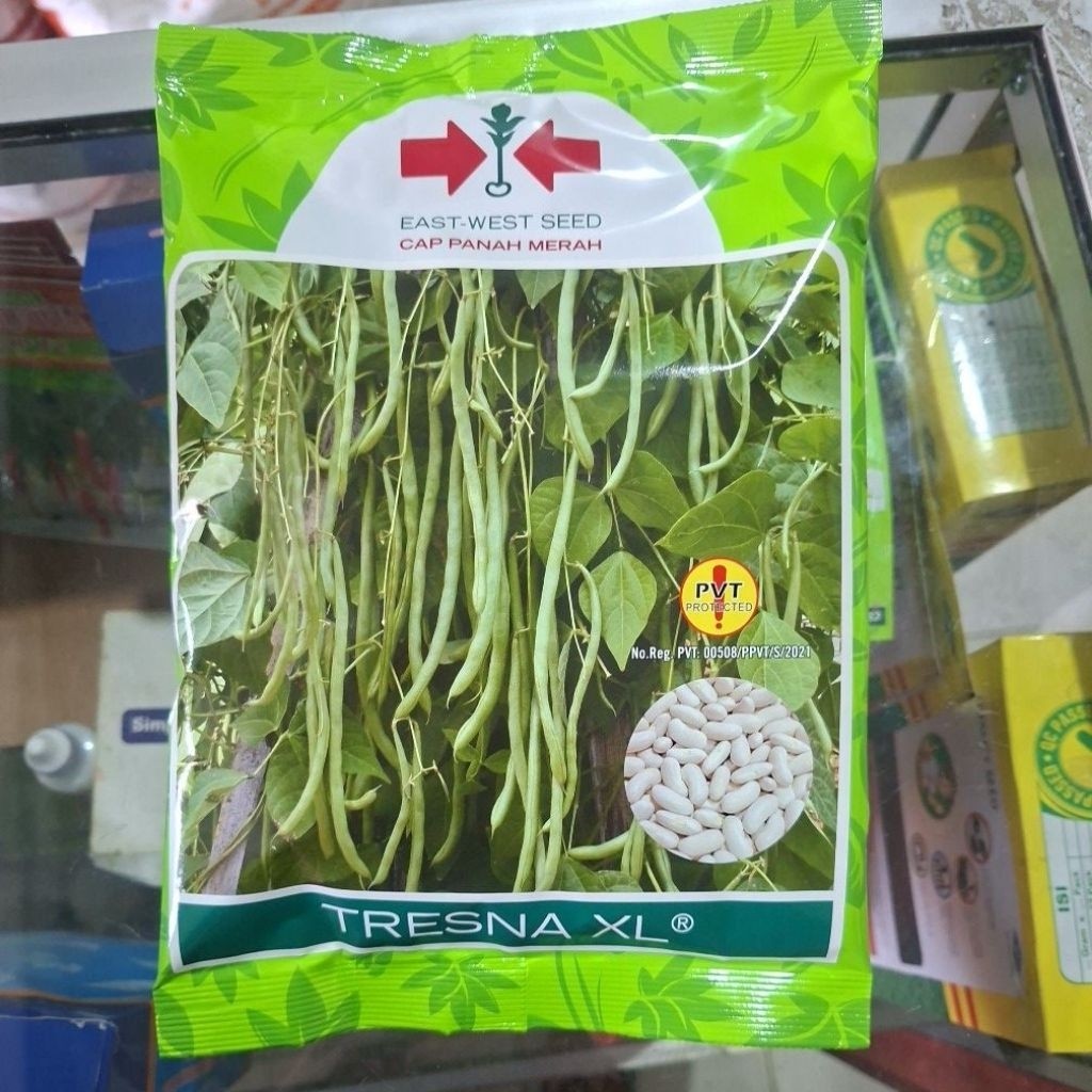 MAJAPUR  BENIH BUNCIS TRESNA XL, 500 GR