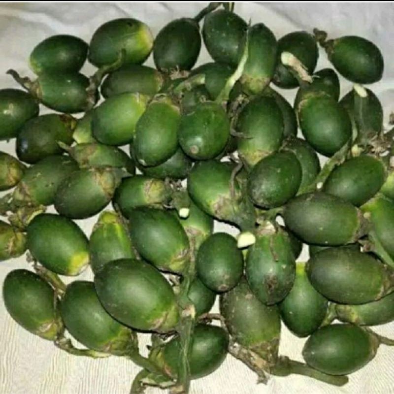 Buah Pinang Segar/Jambe Muda Segar Alami 1 kg /Buah Jambe pinang muda Jambe pinang tua segar Jambe m