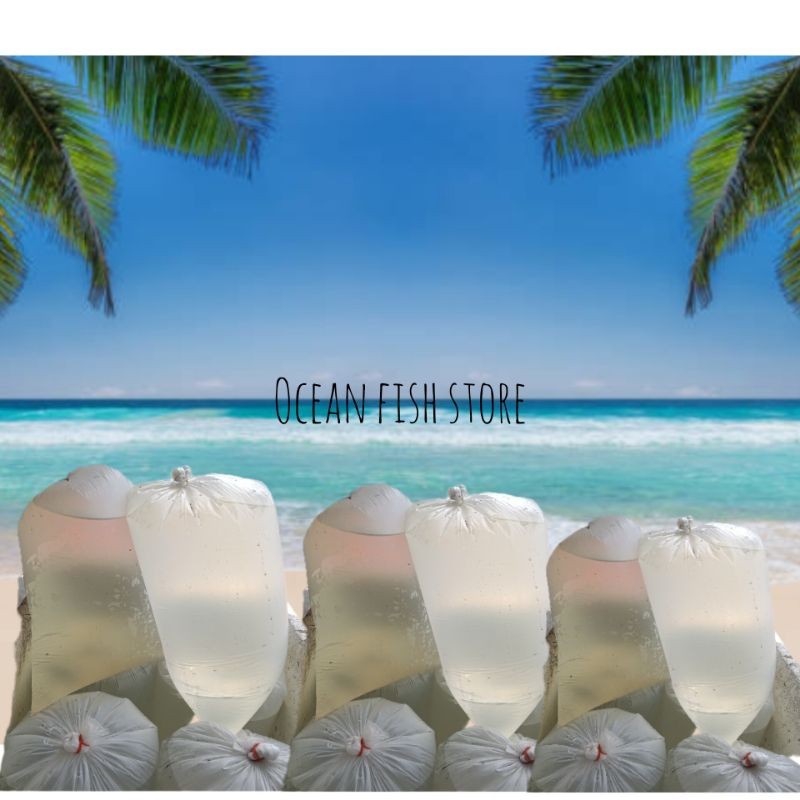 Air Laut Steril Filtrasi Halus – Siap Digunakan untuk Aquarium Air Asin