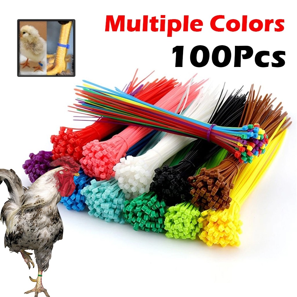 Gelang Ayam Plastik Warna Bisa Chicken Foot Ring Tali Kaki Ayam Laga