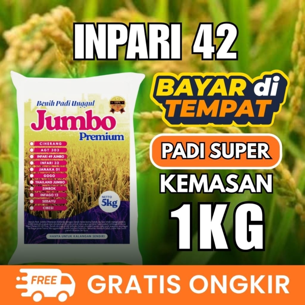 Benih padi unggul inpari 42 original kemasan 1kg