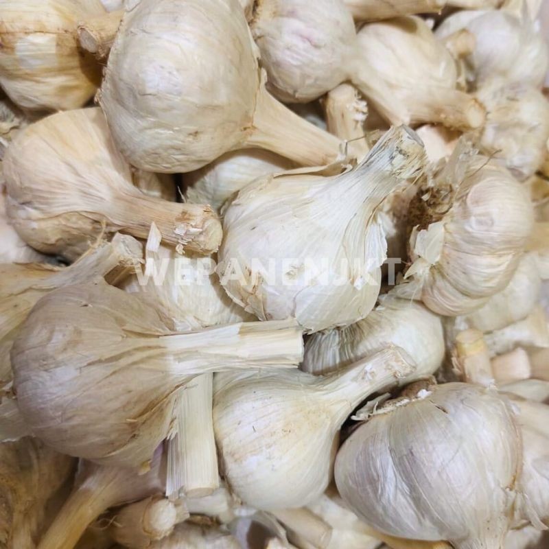 Bawang Putih Kating Kotor 1kg