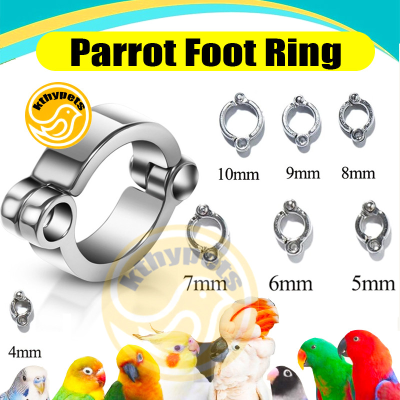 ring borgol kaki burung ring burung lovebird Cockatiel sun conure KAKI BURUNG PARROT, NURI, BETET, K