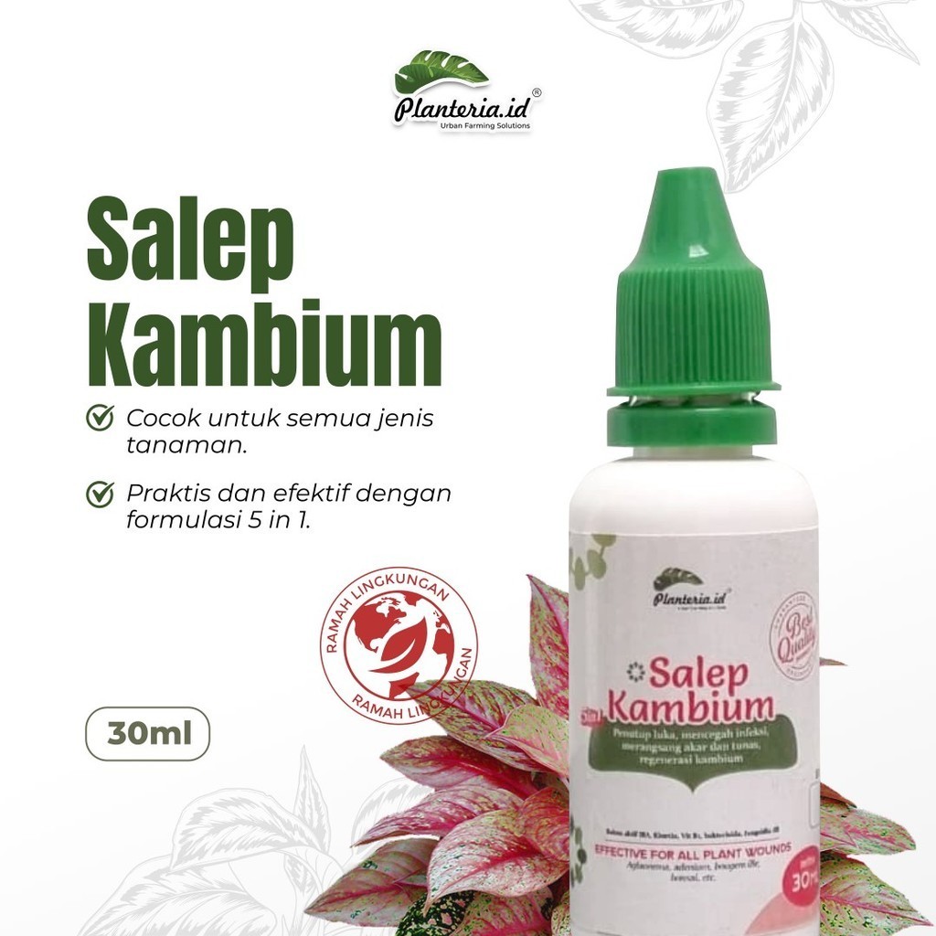 Salep Kambium 30ml by Planteria Original Salep Kambium Bonsai Penutup Luka Tanaman Plus Fungisida da
