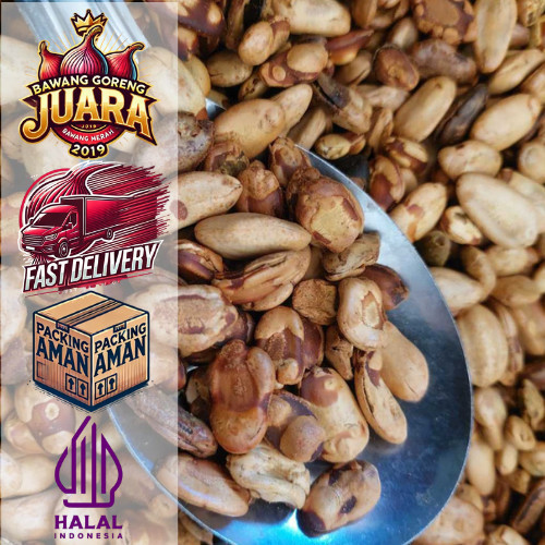 COD Kacang Kedawung 100gr Kacang Kedawung Matang Kacang Kedawung Sangrai Kacang Kedawung Premium