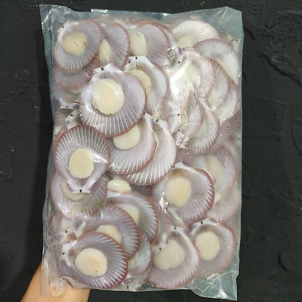 Scallop Half Shell Beku Premium 250gr | Kerang Simping Siap Masak | Scallop Bakar Mentai Keju | mina