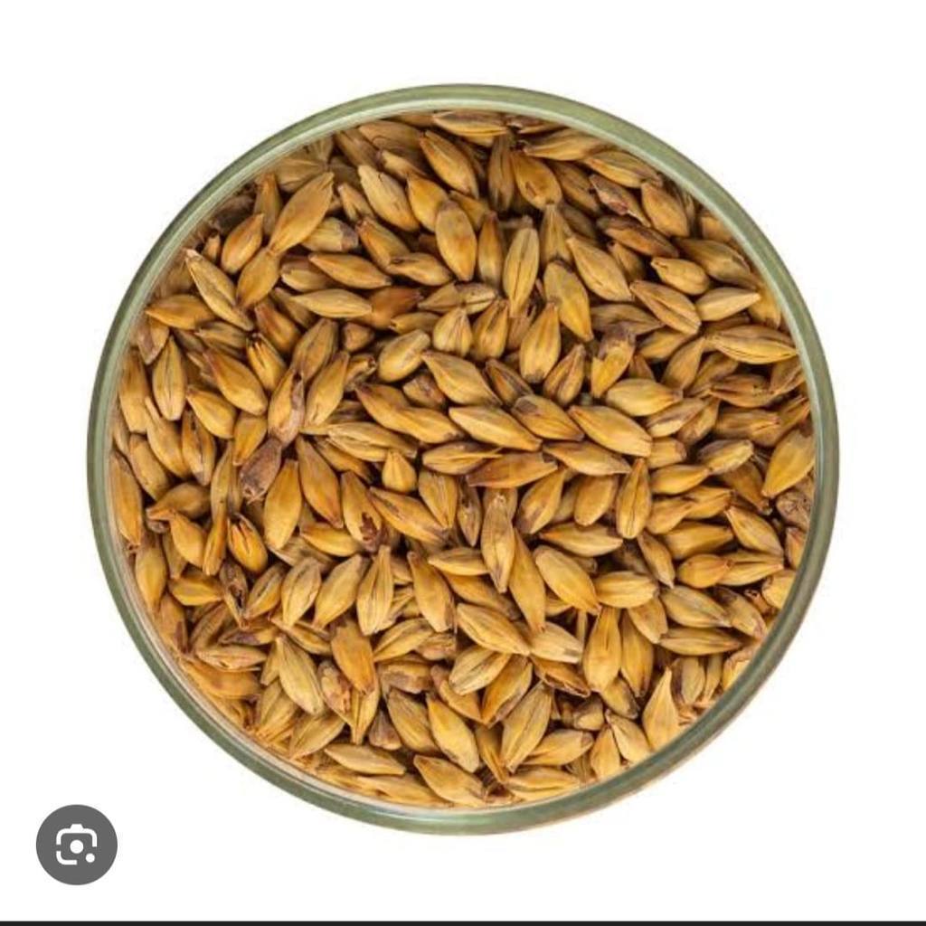 Imatton Weyermann Carafa Roasted Malt Barley Gandum