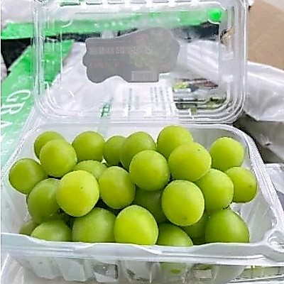 anggur shine muscat / anggur hijau shine muscat per pack