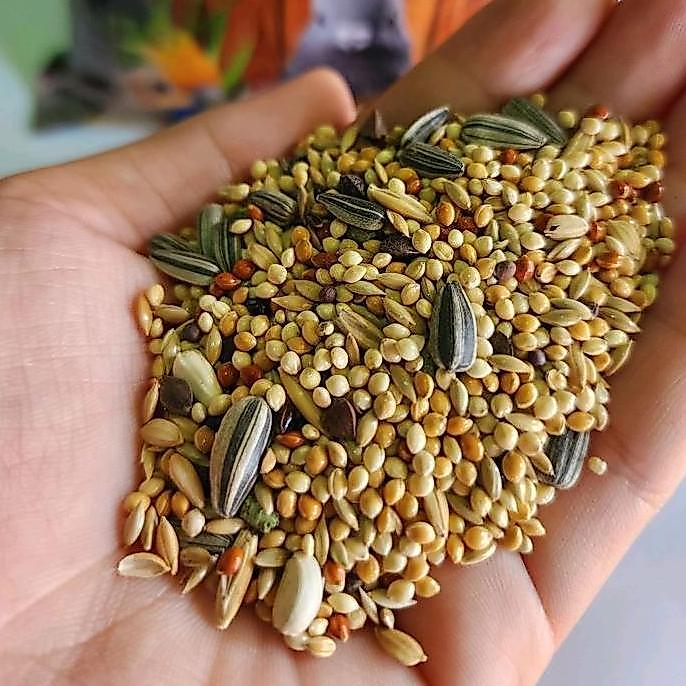 PAKAN BURUNG PARROT PHARMACY MIX 1KG JJ PREMIUM SEED VITAMIN LOVEBIRD