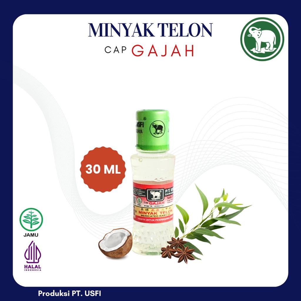 [PP] MINYAK TELON CAP GAJAH 30ml PALING KECIL*