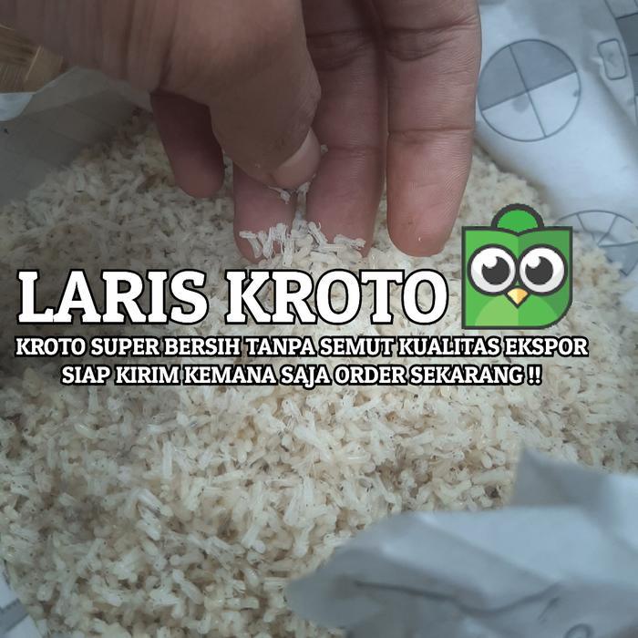 [ fn0tafaejf ] || KROTO SUPER BERSIH TANPA SEMUT KROTO BADUY *KROTO SUPER FULL BERSIH KERING INSTANT