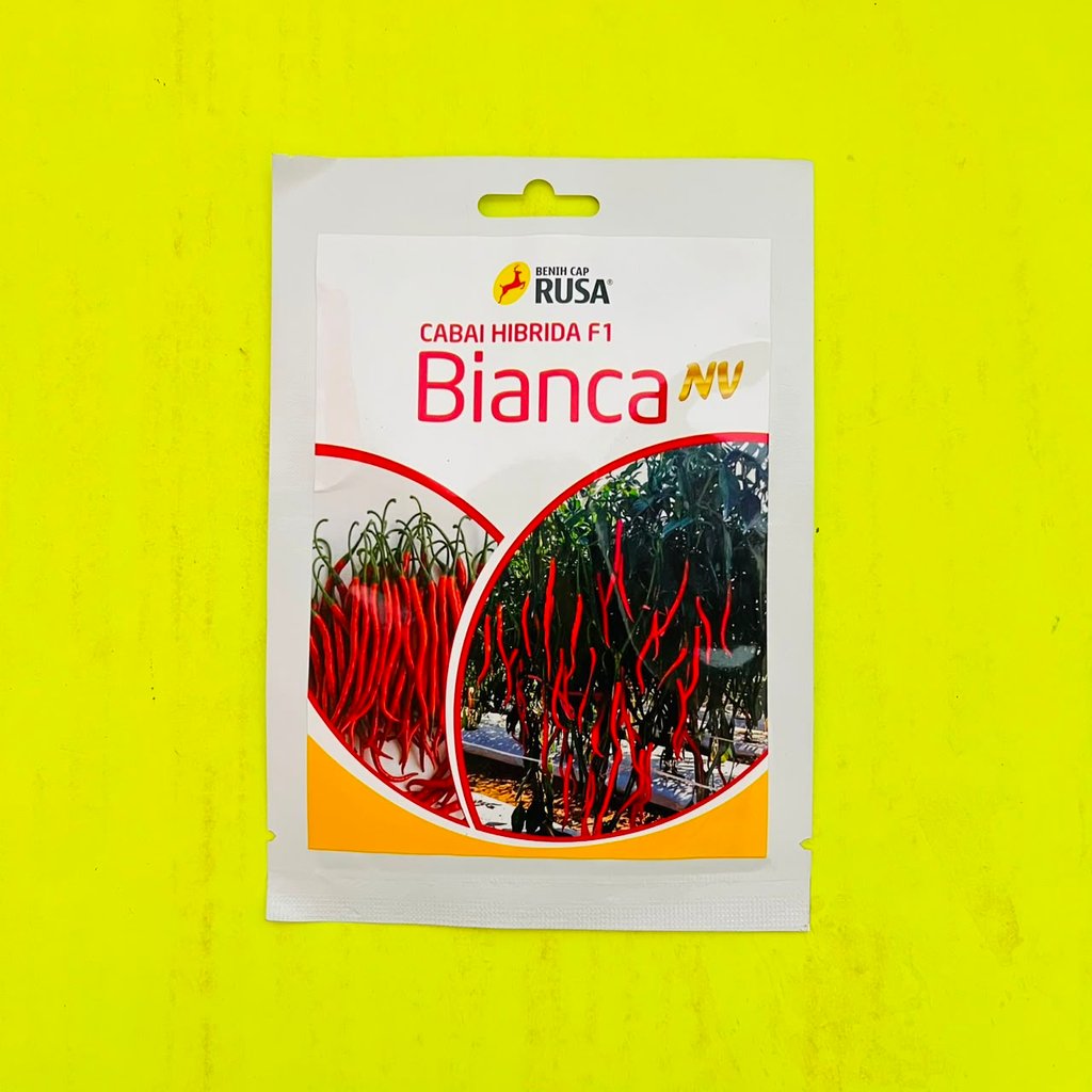 Benih cabai keriting hibrida BIANCA NV cocok di dataran menengah tinggi isi 10gr dari CAP RUSA