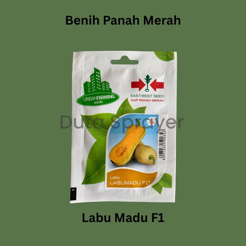 Benih Labu Madu - Benih Panah Merah
