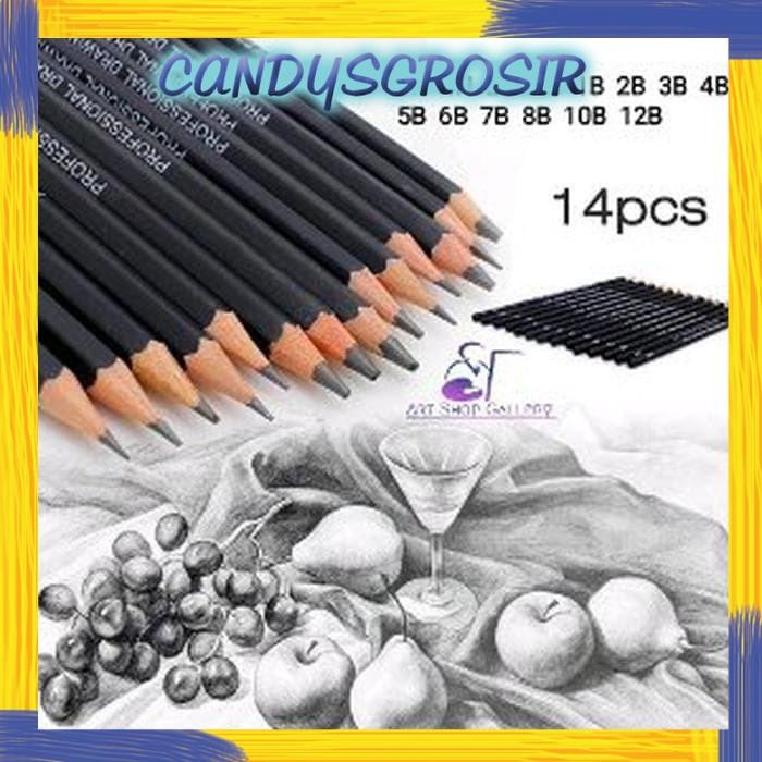 Set Pensil Sketsa Drawing Graphite Professional Pencils Charcoal 14pcs