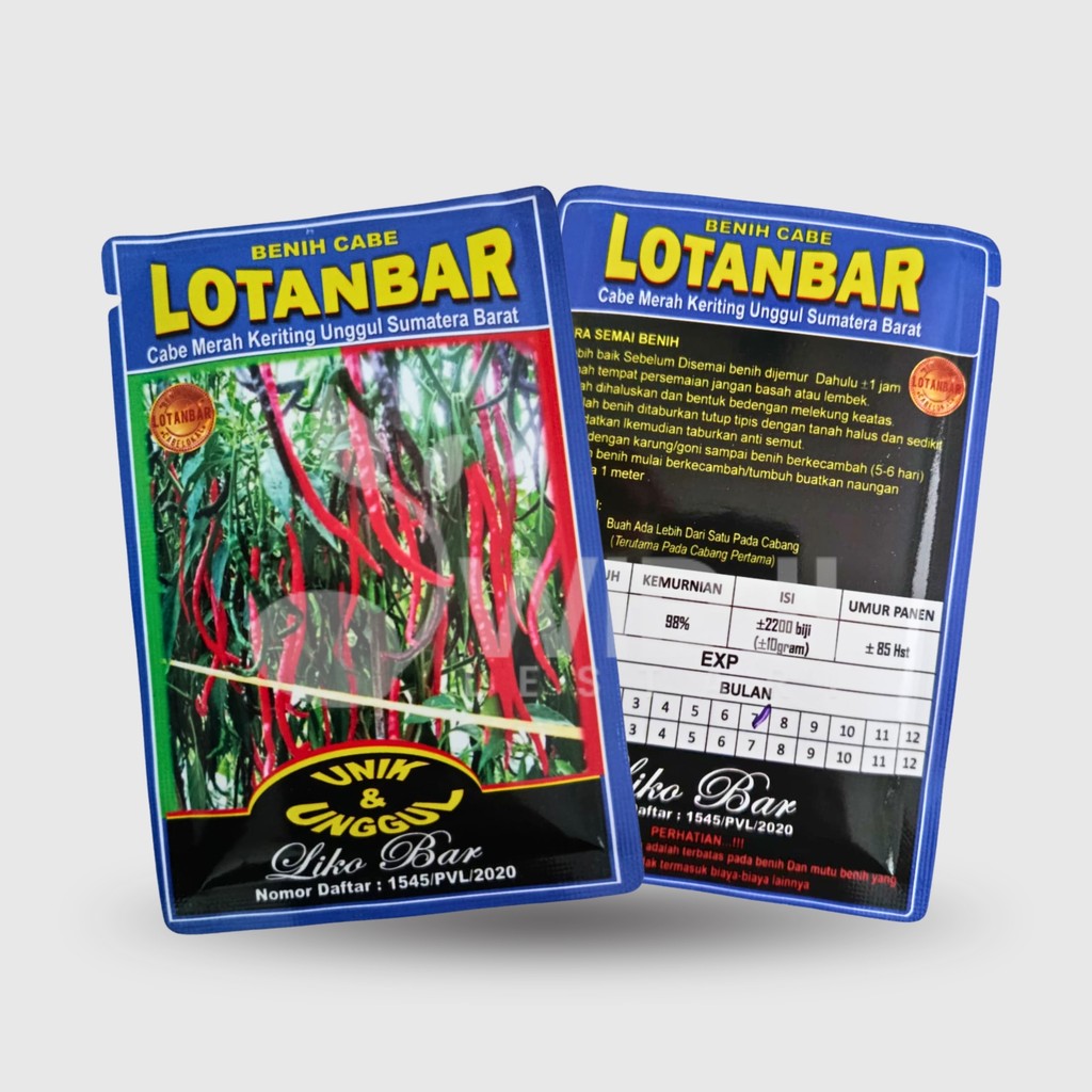 Sale.. Benih Cabe Keriting Lotanbar 10gr Cabe Unik Lokal Sumatra Tahan