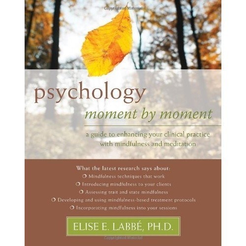 Psychology moment by moment