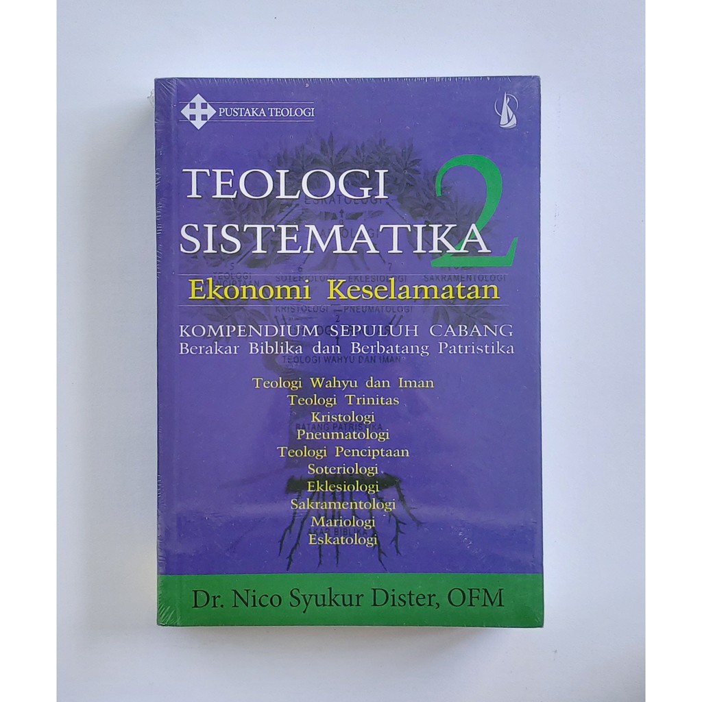 TEOLOGI SISTEMATIKA 2, Ekonomi Keselamatan