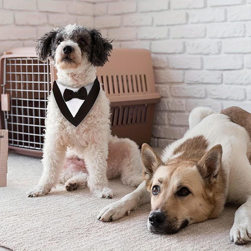 Owl Store - Tuxedo Anjing Bandana Kucing Besar Kecil Kalung Kucing Anjing Tuxedo Bandana