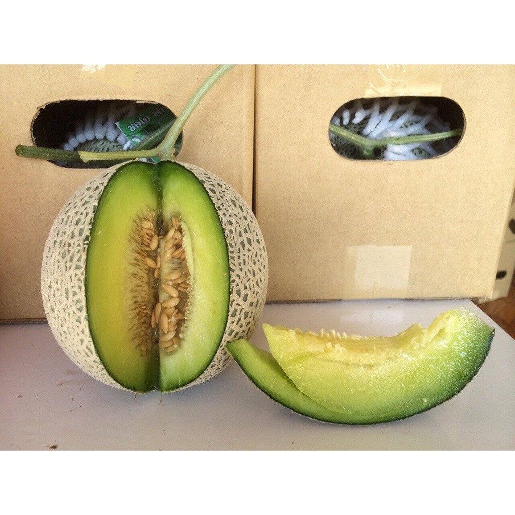 PROMO 25 BUTIR BIJI / BENIH MELON JEPANG KIMOJI DAGING HIJAU
