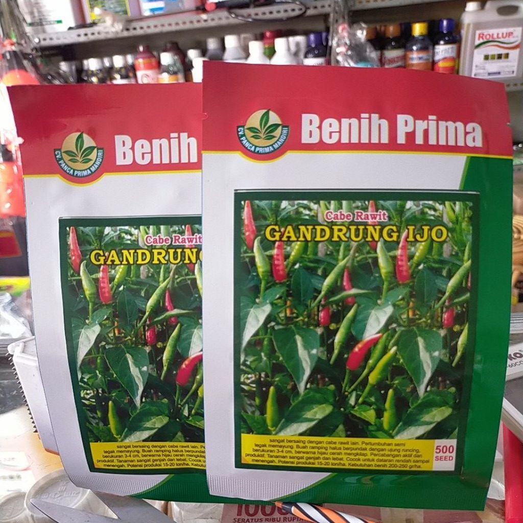 Benih Prima Cabe Rawit Gandrung Ijo 500 Butir, Pertumbuhan Cepat, Warna Merah Hijau