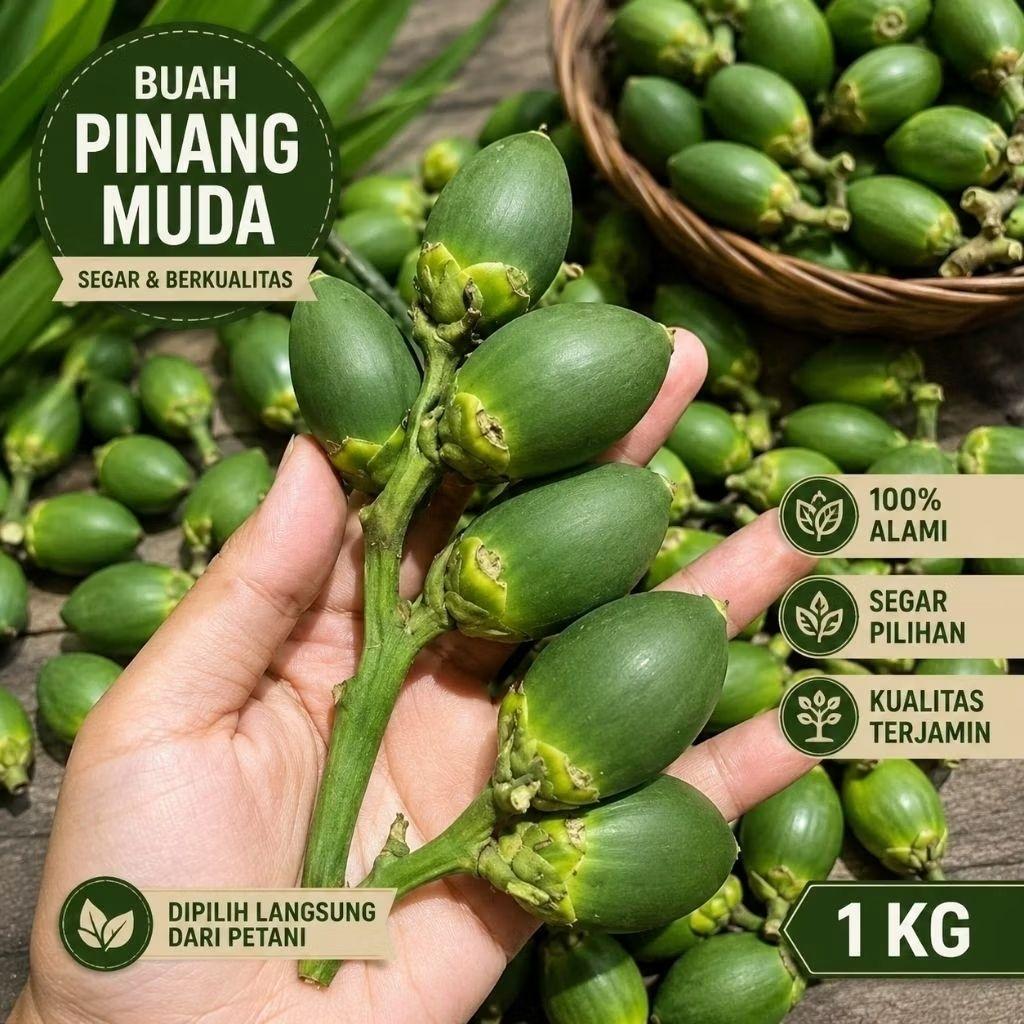 Buah Pinang Muda 1kg penambah stamina pria dewasa