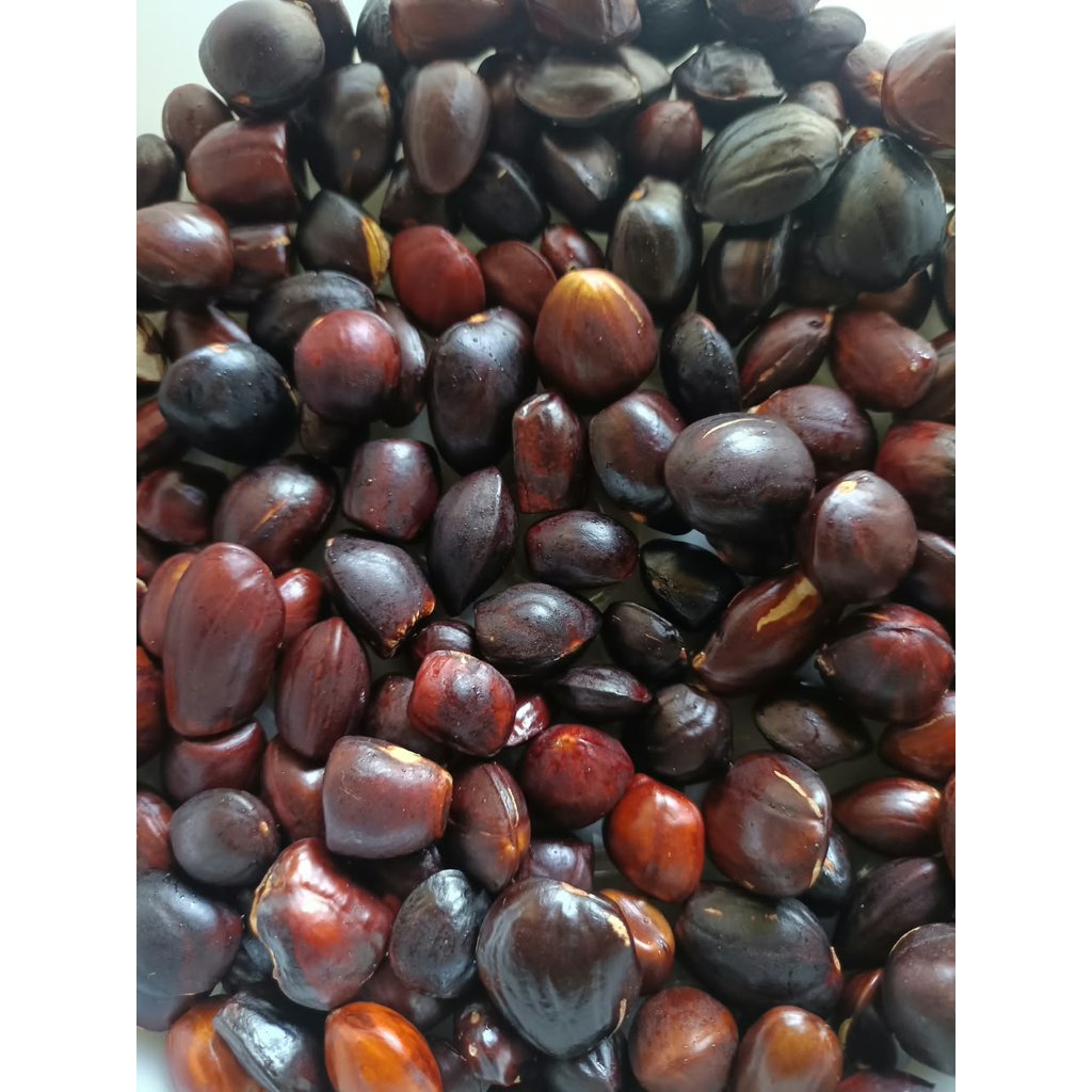 500GR KABAU KIKIM BISA COD JOLANG JALING /KABAU ASLI SUMATERA