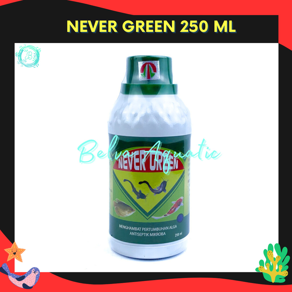 Never Green Anti Lumut Obat Kolam Ikan