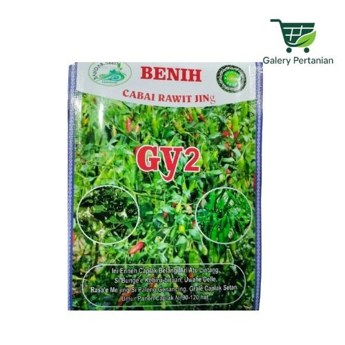 Cabe GY2 10gr Lokal Aceh Buah Lebat Original Cabe Rawit Hijau Gayo 2 Aceh