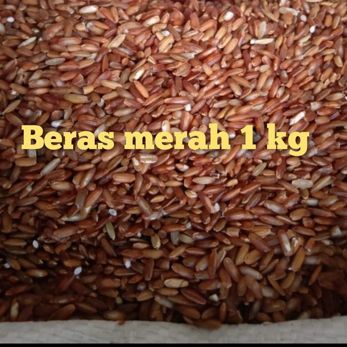 beras merah 1 kg pakan ayam bangkok ayam hobi