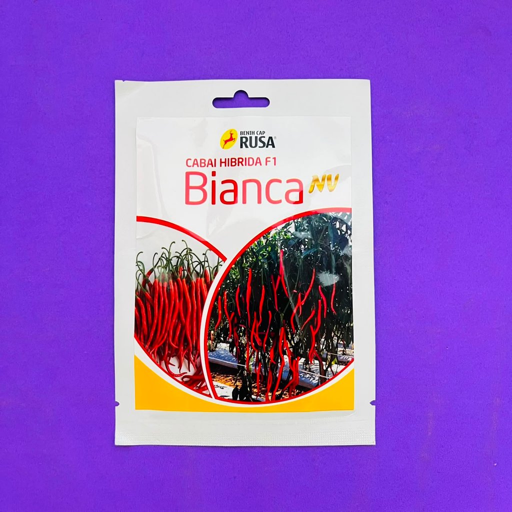 Benih cabai keriting hibrida BIANCA NV isi 10gr hasil buah lebat dari CAP RUSA