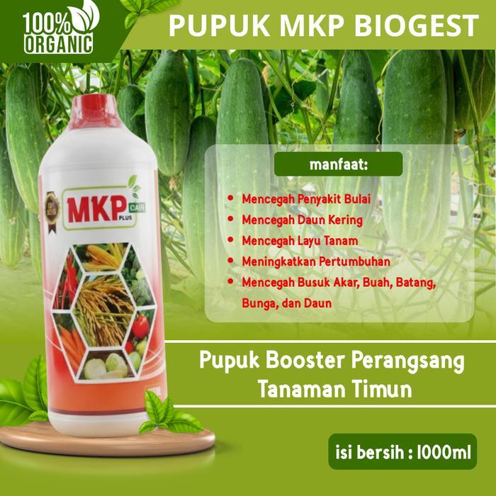 Pupuk MKP Biogest 1 Liter | Pupuk Penumbuh Bunga & Pembesar Buah, Pencegah Rontok, Penyubur Tanaman 