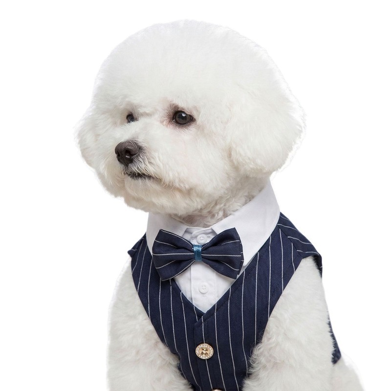 [TamanPet] Pakaian Teddy Bear pakaian anjing setelan gaun kemeja rompi membalut teddy bear