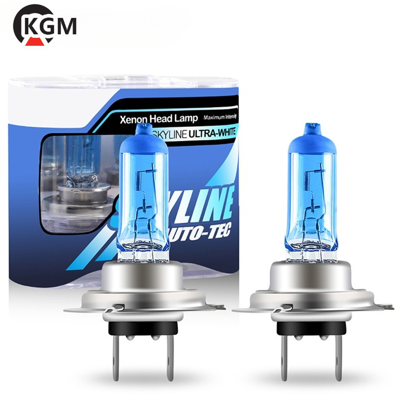 NEW 2 Buah/Super Bright Halogen Bulbs H1 H3 H4 H7 H8 H11 9006 Auto Halogen Lamp Fog Lights 55W
