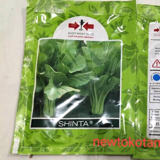 Benih sawi caisim SHINTA 25 gr sawi dari panah merah sawi shinta 25 gram sawi shinta STMJsby