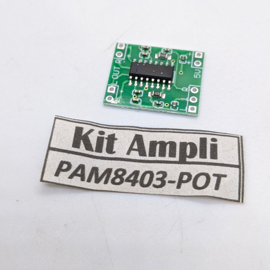 KIT POWER PAM 8403 5V Audio Amplifier