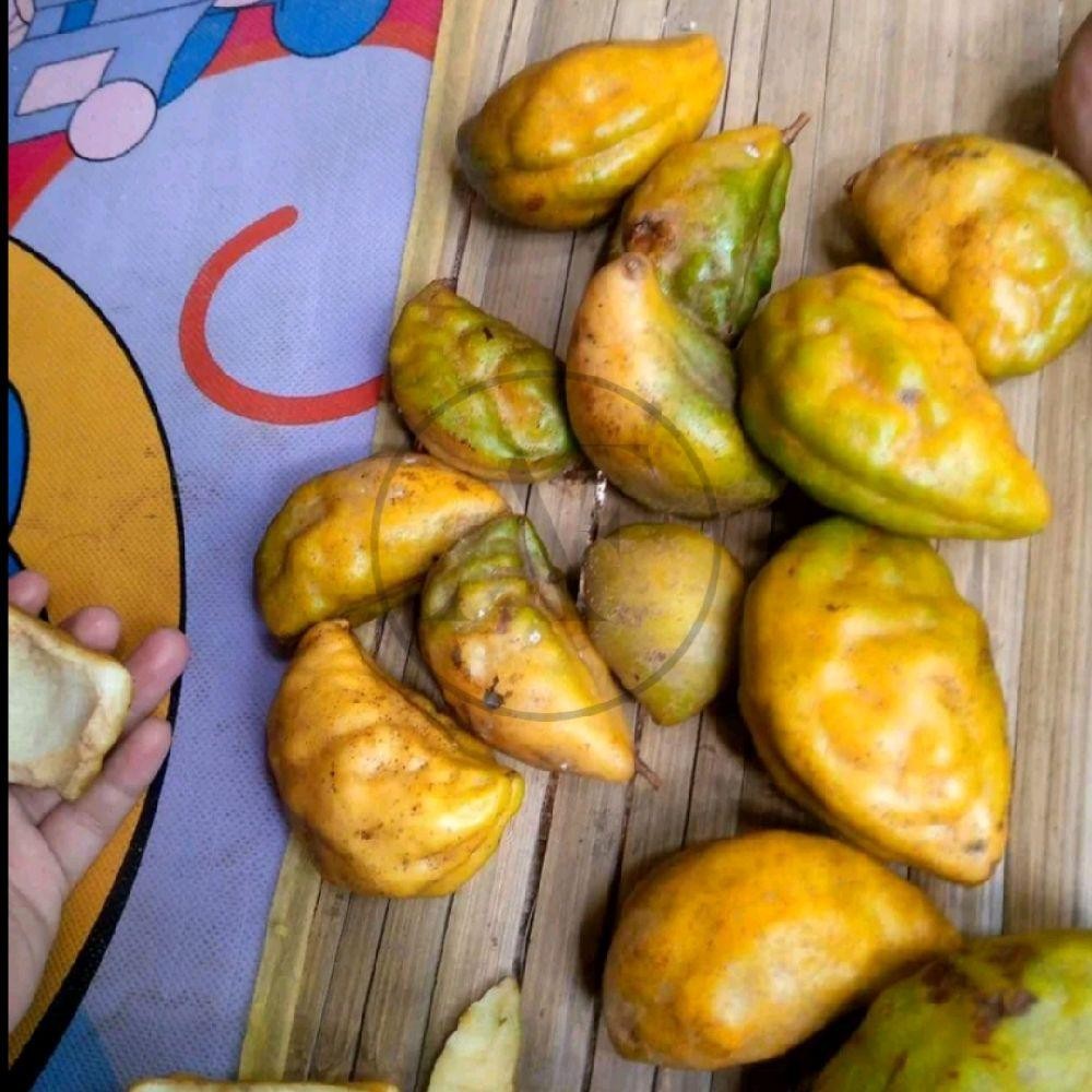 

BUAH POKIH 1 BUAH BUAH NAMNAM SEGAR FRESH DI PETIK SAAT ORDERAN MASUK Frozen Kuning Zuriat Makanan