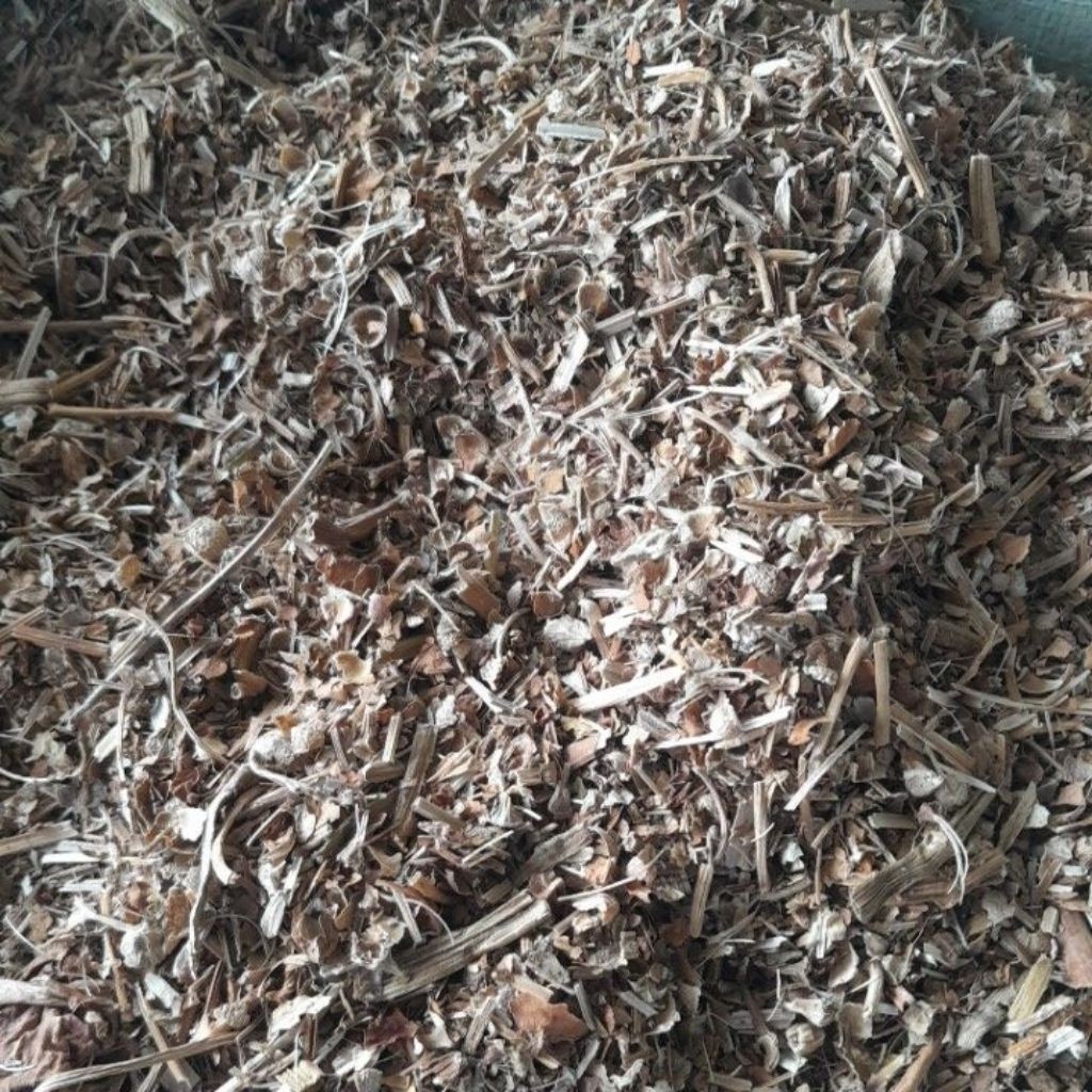 Kangkung Kering Pakan Kambing 5 Kg Paket Hemat Pakan Wedhus Kangkung Kering