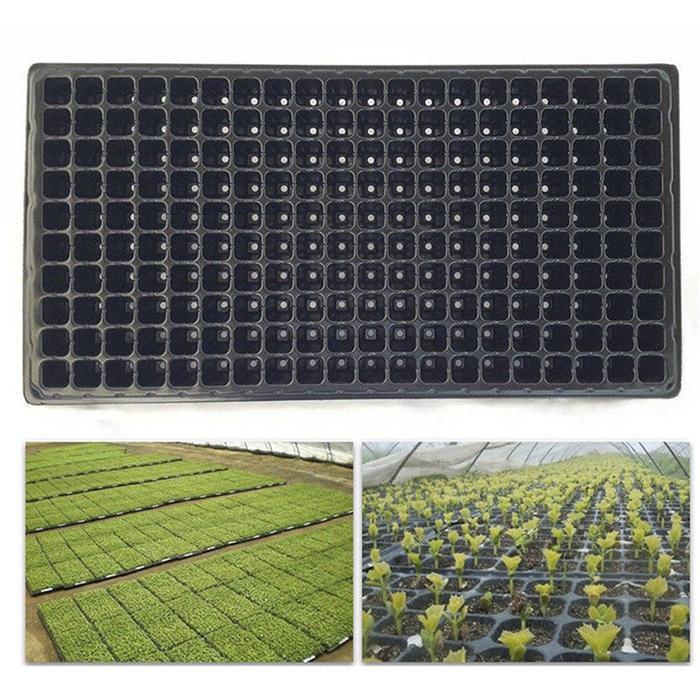 Set Potray Semai Dengan 200 Lubang / Set Tray Semai