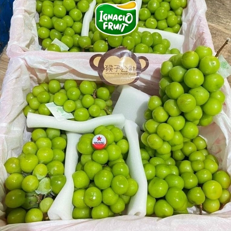 [INSTAN] Anggur Muscat Hijau Kantong [ 1 Krat isi 6.5Kg ] Fresh Import IgnacioBox