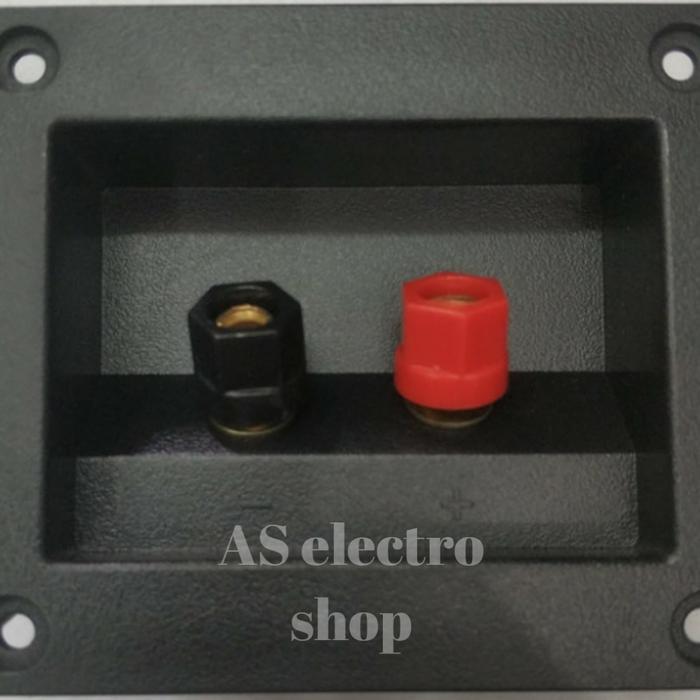 terminal speaker binding post